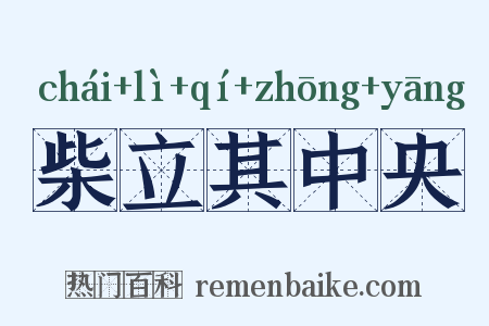 柴立其中央是什么意思的图片